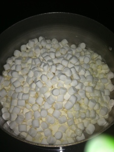 Marshmallows...I can figure out marshmallows, right?